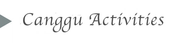 canggu activities